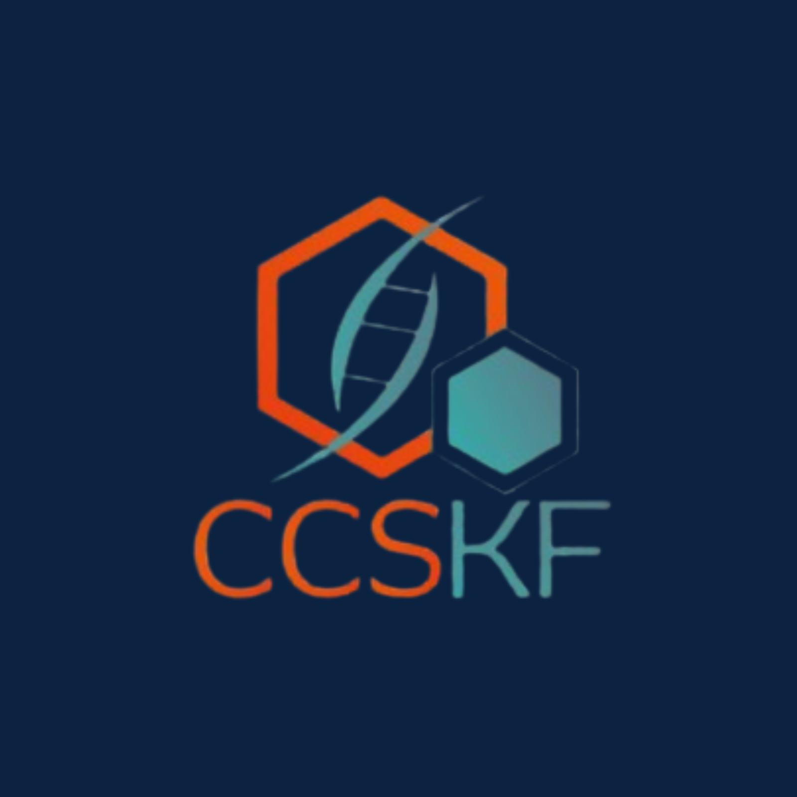 CCSKF Informática Ltda