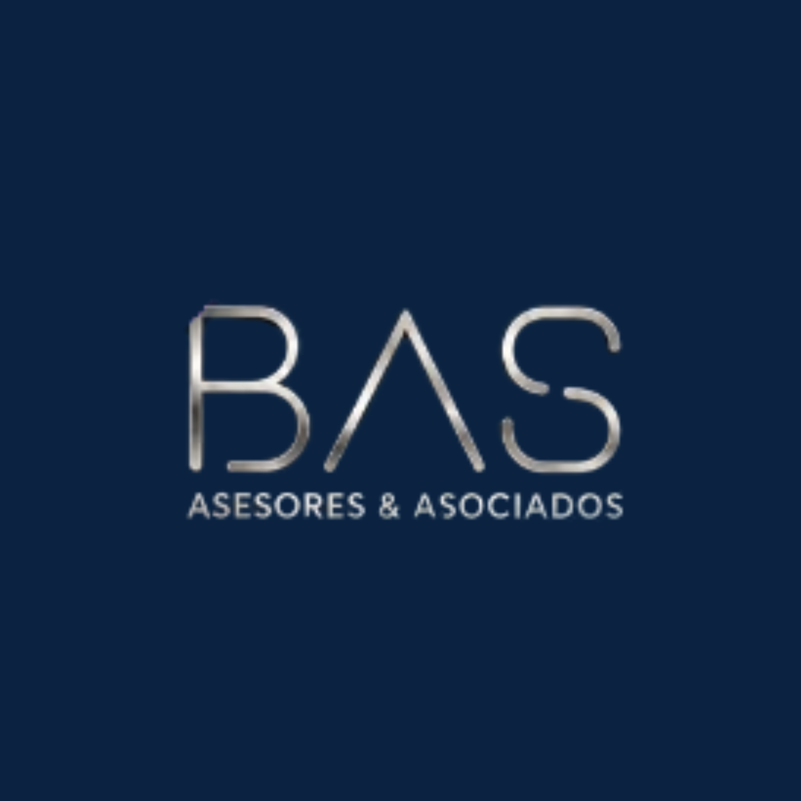 B.A.S SA Assesoria