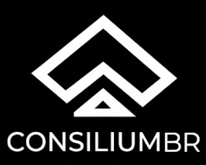 CONSILIUM EDUCACAO E CONSULTORIA LTDA